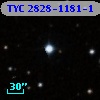TYC 2828-1181-1