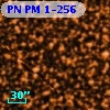 PN PM  1-256