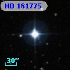 HD 181775