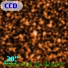 CCDM J18463-0629A