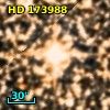 HD 173988
