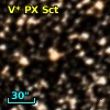 V* PX Sct