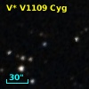 V* V1109 Cyg