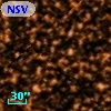 NSV 24601