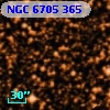 NGC  6705   365