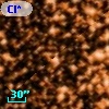 Cl* NGC 6705     HV       1