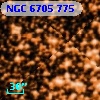 Cl* NGC 6705    SZT     681