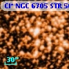 Cl* NGC 6705    STR     560