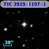 TYC 3919-1197-1
