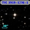 TYC 3919-1236-1