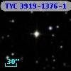 TYC 3919-1376-1