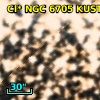 Cl* NGC 6705   KUST     340