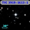 TYC 3919-1613-1