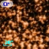 Cl* NGC 6705     KF     448