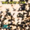NGC  6705  1230