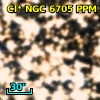 Cl* NGC 6705    PPM     303