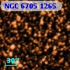 NGC  6705  1265