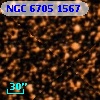 NGC  6705  1567