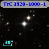 TYC 3920-1000-1