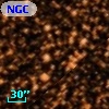 NGC  6705  1651