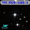 TYC 3920-1168-1