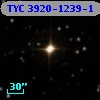 TYC 3920-1239-1