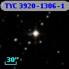 TYC 3920-1306-1