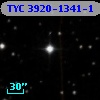 TYC 3920-1341-1