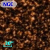 NGC  6705  1999