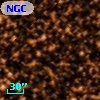 NGC  6705  2032