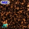 NGC  6705  2044