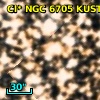 Cl* NGC 6705   KUST     137