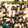 Cl* NGC 6705   KUST     216