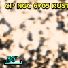 Cl* NGC 6705   KUST     399