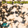Cl* NGC 6705   KUST     503
