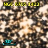 Cl* NGC 6705    MMU    1423