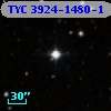 TYC 3924-1480-1