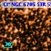 Cl* NGC 6705    STR     552