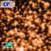 Cl* NGC 6705    PPM     238