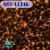 NSV 11316