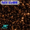 NSV 11480