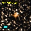 V* AM Aql