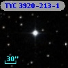 TYC 3920-213-1