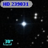 HD 239031