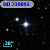 HD 239085