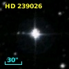 HD 239026