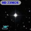 HD 239028