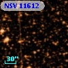 NSV 11612