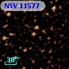 NSV 11577