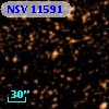NSV 11591